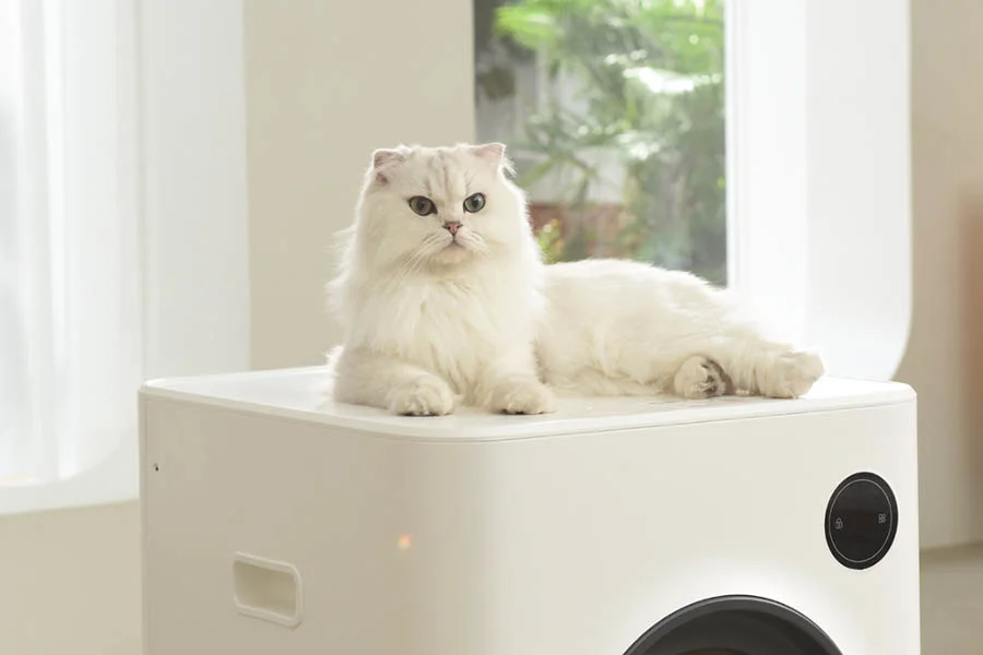 cat litter box for multiple cats