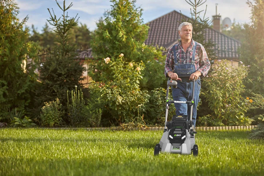 purchase lawn mower