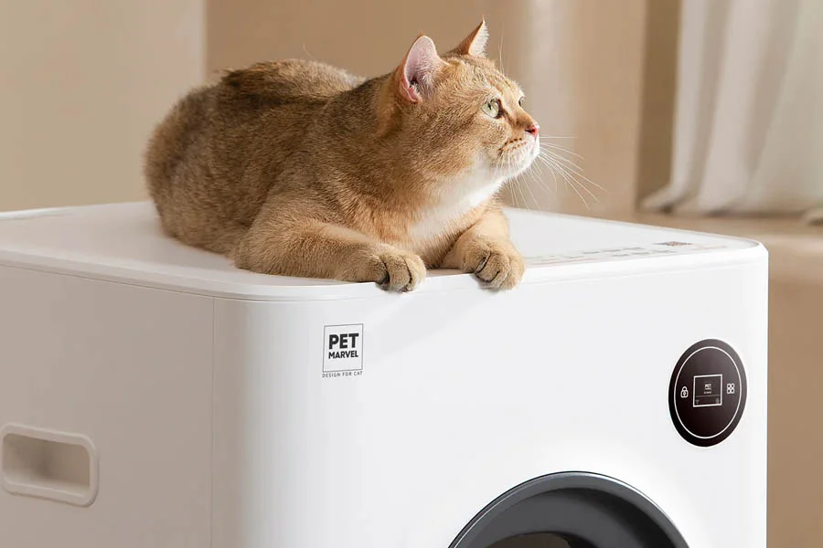 what is the best cat litter box