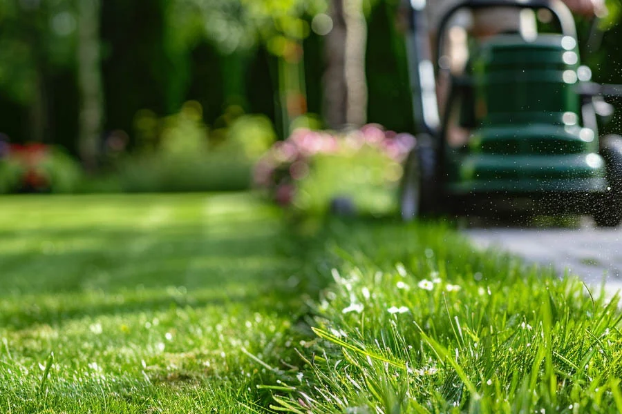 best battery operated lawnmower